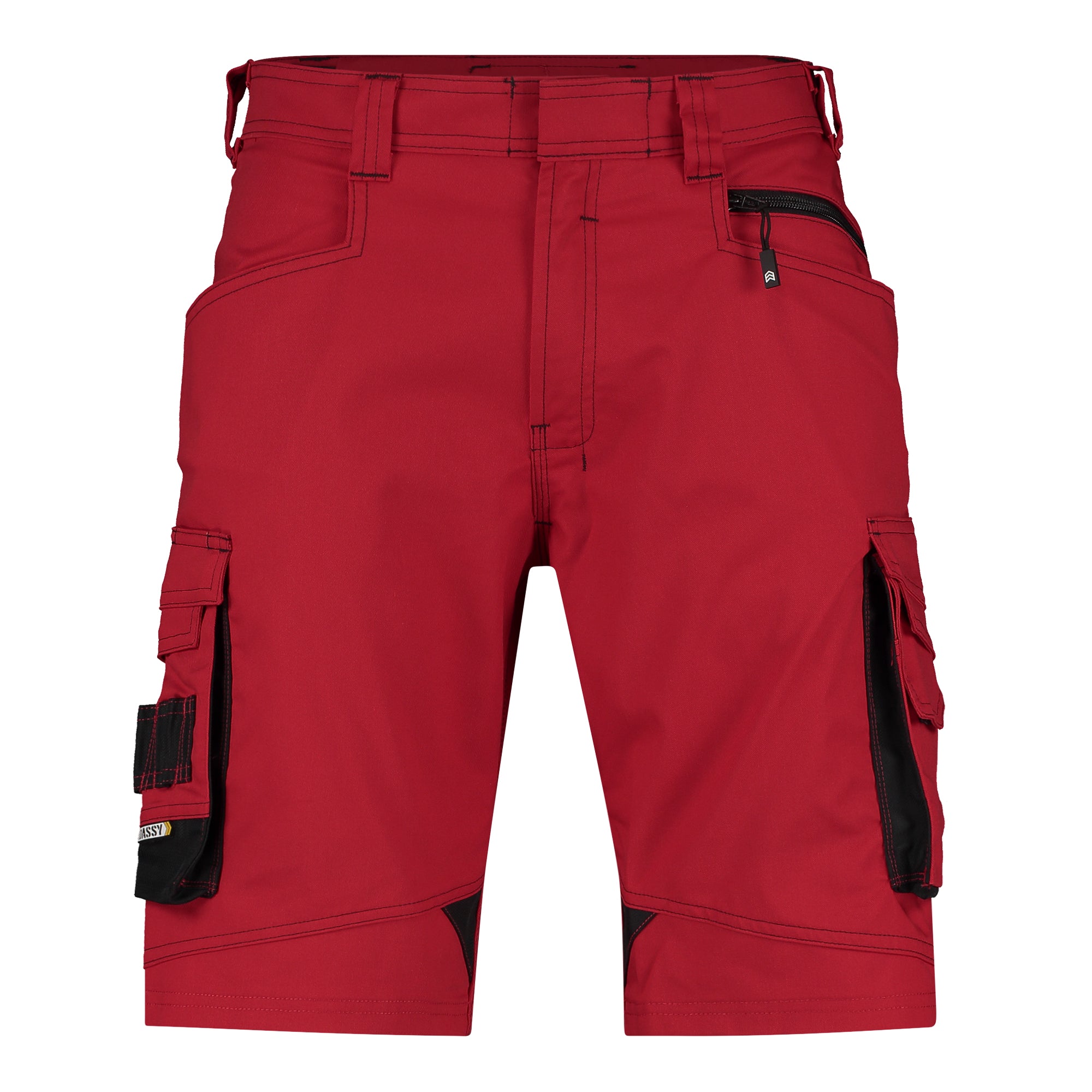 DASSY® Cosmic Arbeitsshorts